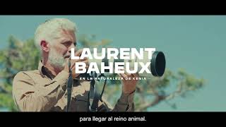 Yellow Korner, Capturando el Allure l Laurent Baheux Trailer