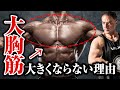 【筋トレ】大胸筋が思うように大きくならない人はこれが原因かもしれません