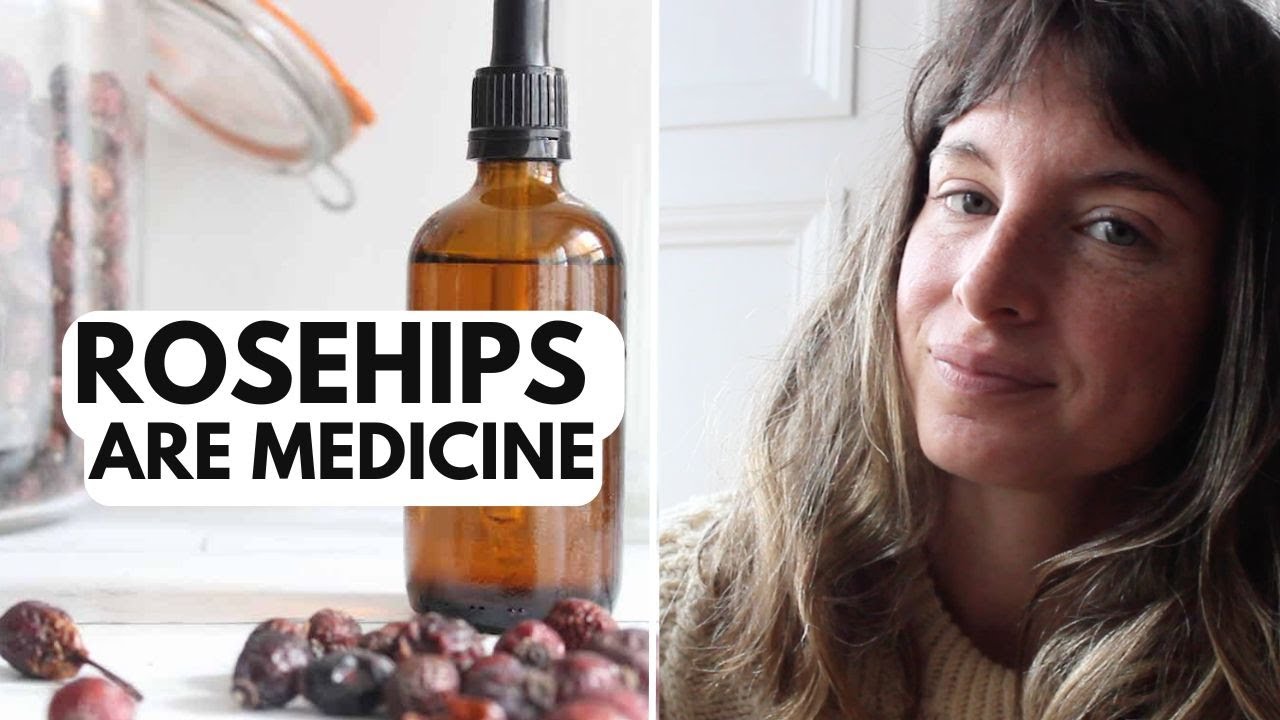 Making rosehip tincture, trying chicory root coffee & prepping my winter herbal remedies