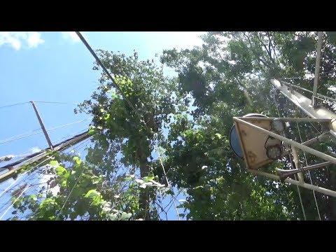 Ep037 Sailing FAIL!  The one where we get stuck in a tree.