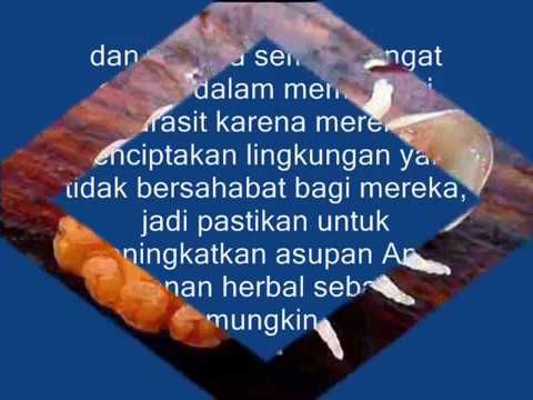 Transfer malyshevoy dari potensi obat dan m 16 Herbal apa yang membantu untuk meningkatkan potensi