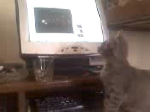 Da Ghost feat. Blero - Krejt Anash ( Maqorri )