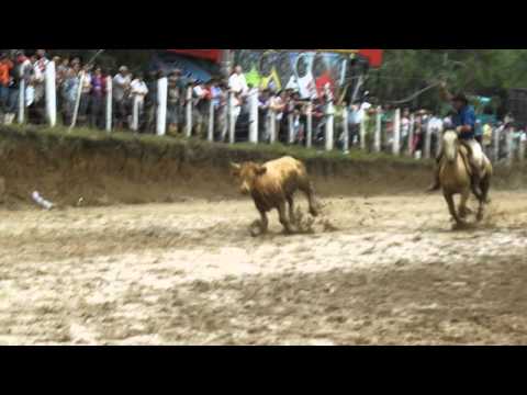 TOTONHO NO MANGUEIRA VELHA