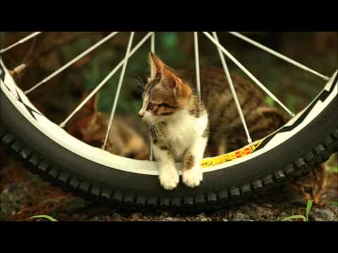 The Remedy – Shot In The Dark [Mango pres. Shoreliners Remix]