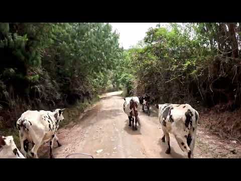 de #salazar de las #palmas #norte norte de #santander #bucaramanga  pasando por #cucutilla