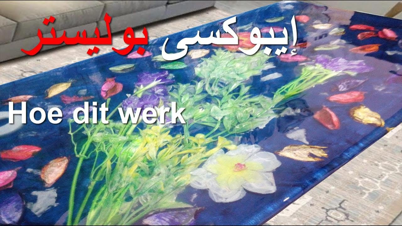 صورة الفيديو