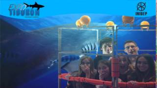 DIA 2 Expo Tiburon63