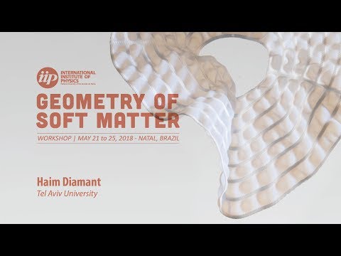 Hyperuniform dynamic structures of forced colloids - Haim Diamant