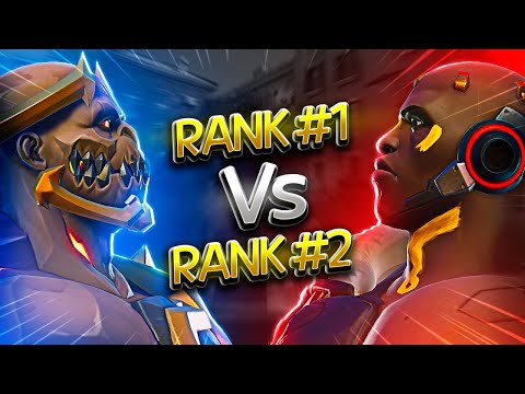 ZBRA VS Cartifan (w/ Reactions)