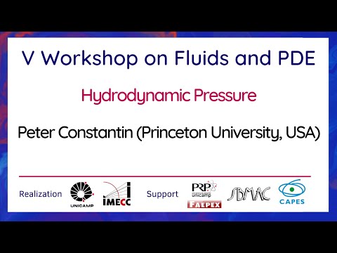V Workshop on Fluids and PDE - September 21th, 2021 - Peter Constantin