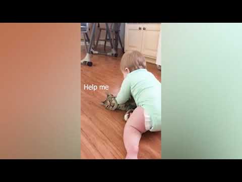 Baby and Cat Fun and Fails #1 - baby baby
