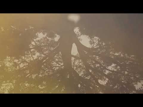 River (Official Video)