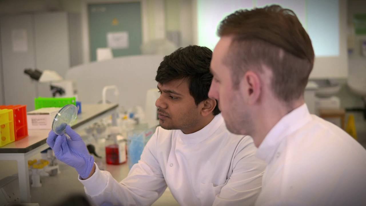 Medical Sciences Autumn Open Days