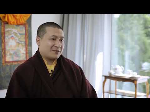 XVII Karmapa   What is meditation