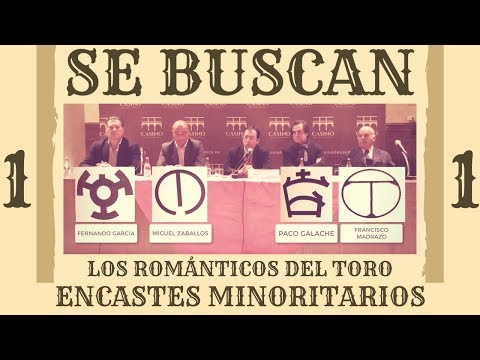 1/2 ENCASTES MINORITARIOS – ROMÁNTICOS DEL TORO