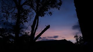 Download lagu STORY WA TERBARU || DERMAGA BIRU || DERAIAN DEMI DERAIAN AIR MATA mp3