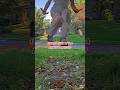 BE FR Credits To That Generic Fairy Funny Memes Fairy Flying Fantasyrp Fairytok