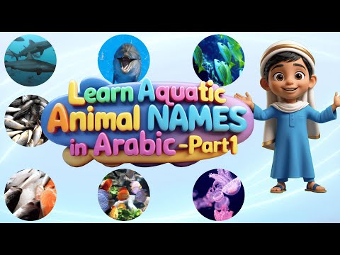 Arabic Vocabulary: Aquatic Animals & Sea Creatures 🌊 | Part 1