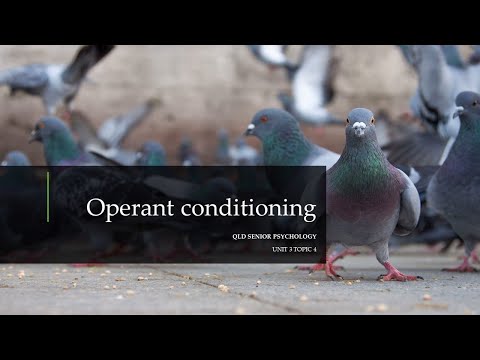 Operant Conditioning