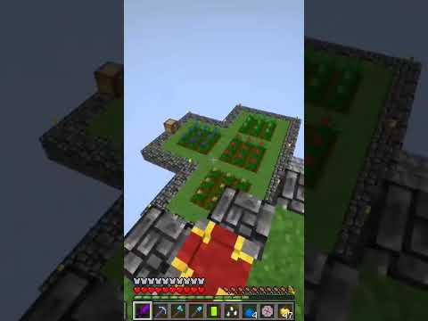 XP Infini avec cette graine folle ! 😱 | Minecraft Skyblock