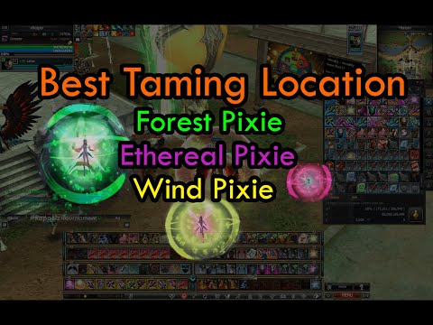 Rappelz Taming Guide 2025 – Best Forest, Wind & Ethereal Pixie Locations