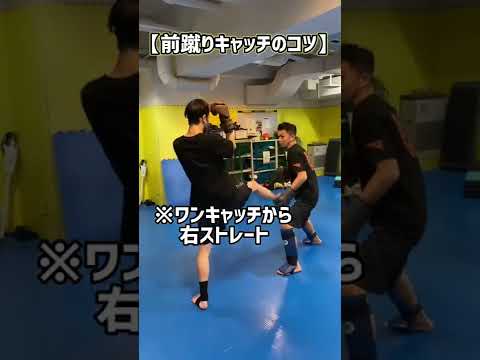 【格闘技】前蹴りをワンキャッチするコツ！　#shorts
