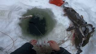 Снасть для рыбалке на енисее