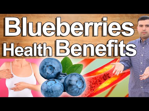 Eat Blueberries Every Day - Blueberry Health Benefits - A Superfood That Changes Your Health