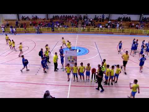 RK ĐAKOVO - RK IVAN Mikanovci - finale 2010.