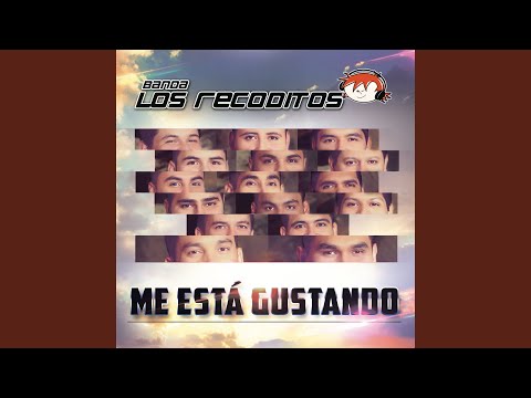 Vieras Como
