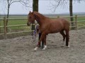 Zij is alles in een.. 