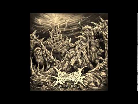 Pathological Abomination – Insentient [Full Album] 2014