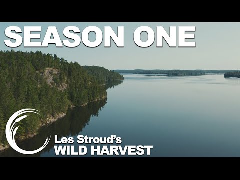 Wild Harvest Season 1 Promo
