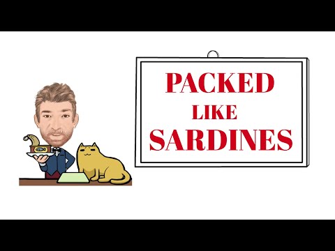English Tutor Nick P Adjective Phrase (155) Packed (in) Like Sardines - Origin - Animated
