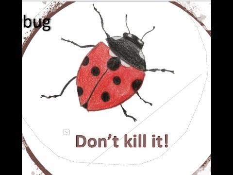 TOP 8 Good Luck Charms