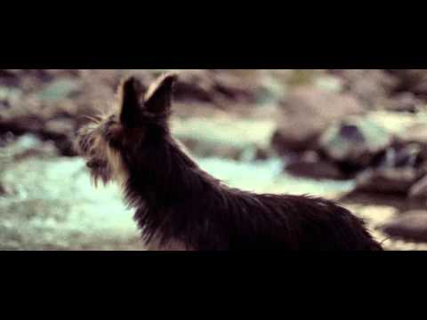 Vacanos (CumbiaMix) - ELMAYONESA vs CHIMBA