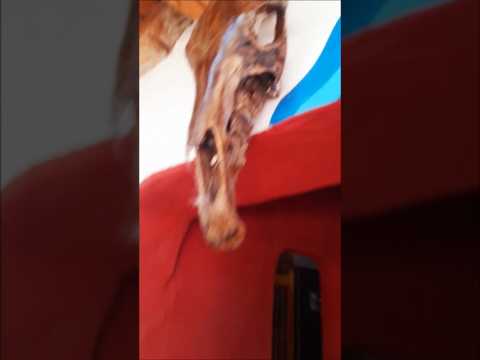 Room tour of my hostel in Amaicha del Valle, Tucumán province, Argentina #travel #Argentina