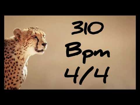 310 Bpm Metronome 4/4