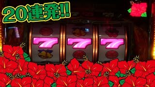 ハナ好きに捧げる！ハナハナ鳳凰のハイビスカス無双２０連発の動画