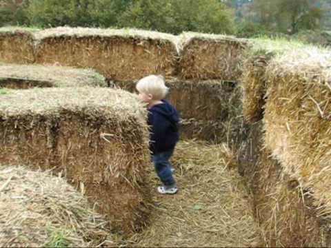 Straw Bale Maze