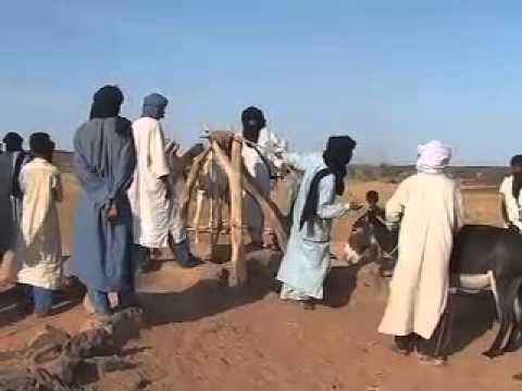 The Nomad Foundation 2012