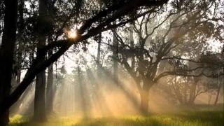 Morning Prayer   MICHAEL CARD