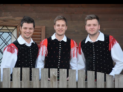 Ansambel Zadetek _ DOMAČIJA _ NOVO 2019