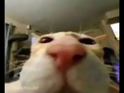 That one part in うずまき - Machine Girl [extended] (Palmtree Panic "P" Mix MG edit)