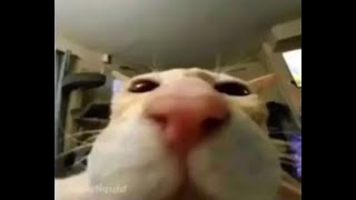 Cover art for that one part in うずまき - machine girl [ extended ]