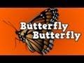 Butterfly, Butterfly!    (a song for kids about the butterfly life cycle)