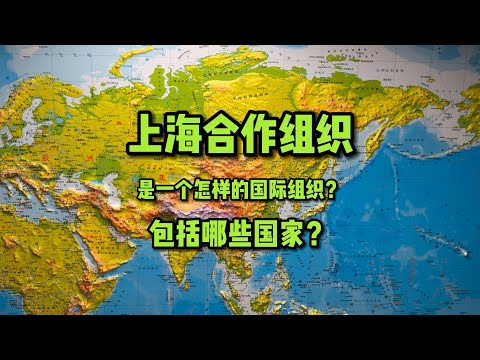 上海合作组织，简称上合组织，是一个怎样的国际组织？它包括哪些国家呢？成立上合组织的初衷是什么#上海合作组织&nbsp;#上合组织有哪些成员国&nbsp;#上合组织&nbsp;#上合组织峰会&nbsp;#哈萨克斯坦