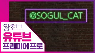 👍깜빡깜빡 네온사인 효과 만들기 [왕초보 유튜브 프리미어 프로] neon text in premiere pro 2020