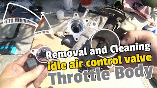 How to Remove Idle Air Control Valve Throttle Body and Clean it | NISSAN iacv cleaning
