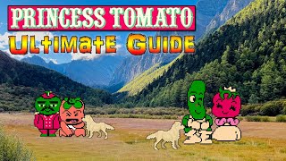 Princess Tomato in the Salad Kingdom - NES - ULTIMATE GUIDE - ALL Chapters, ALL Secrets, 100%